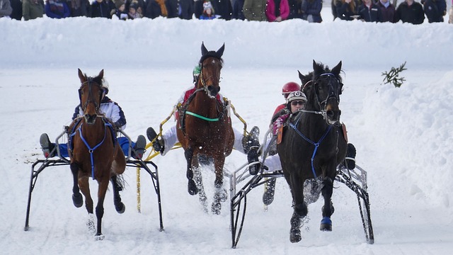 更是一次心 更是一次心