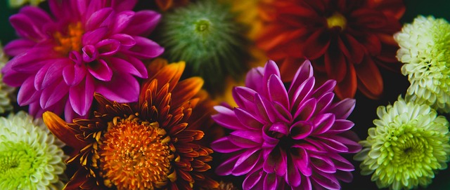 会发展的脉 会发展的脉