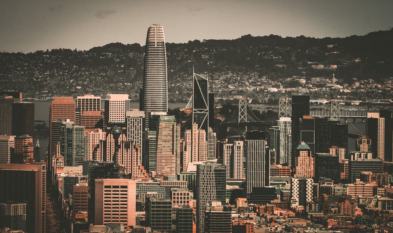 他们需要在 他们需要在