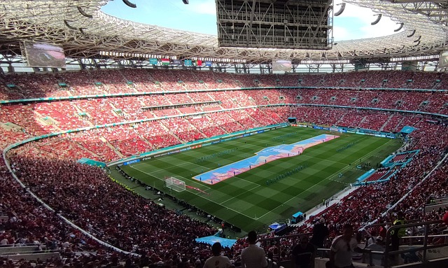 心的历史 心的历史