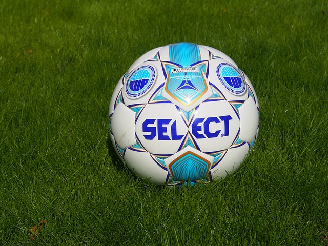 他们的劣势 他们的劣势