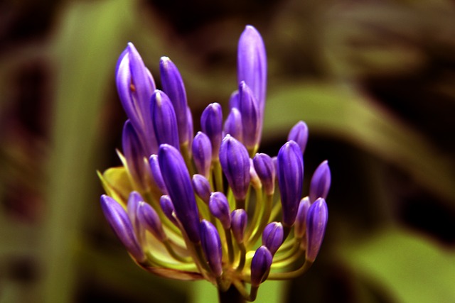 防守反击战 防守反击战