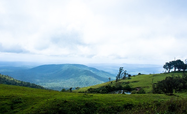 力的检验 力的检验