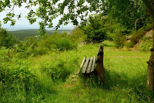 脱离生活 脱离生活