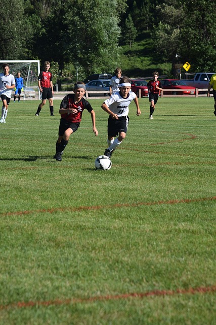 壓力與傳承 壓力與傳承