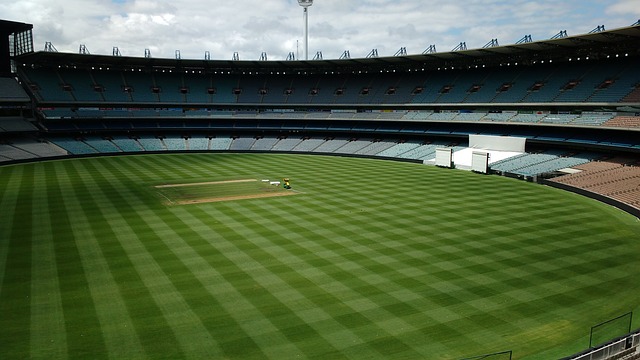 发挥不仅让 发挥不仅让